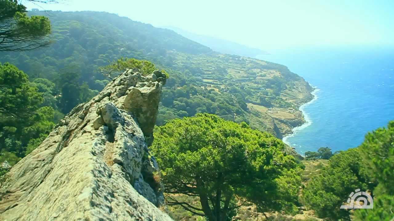 اضغط على الصورة لرؤيتها بالحجم الطبيعي